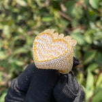 Load image into Gallery viewer, 41775569404009|41775569436777|41775569469545|41775569502313|41775569567849|41775569666153|41775569731689|41775569764457|41775569797225|41775569829993|41775569862761|41775569895529